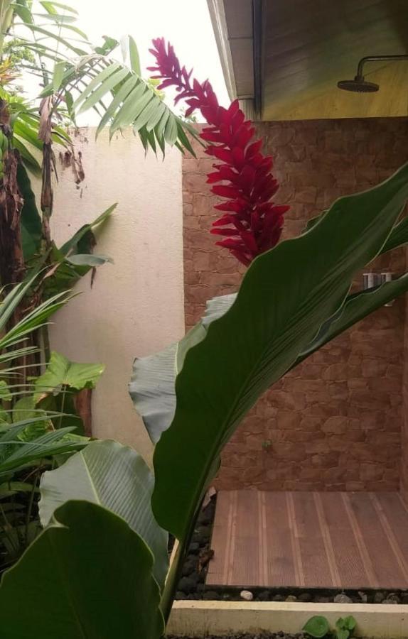 Tropical Suites & Villas La Fortuna Ngoại thất bức ảnh